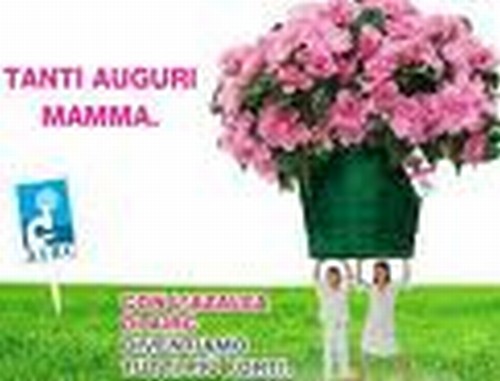 REGALA UNA AZALEA PER LA FESTA DELLA MAMMA