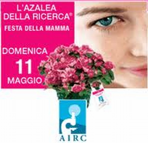 L'AZALEA DELLA RICERCA A PISA E SAN GIULIANO TERME