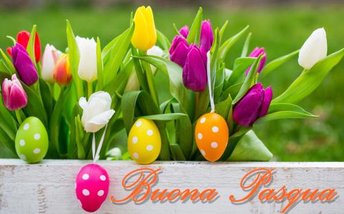 RIUNIONE DEL DIRETTIVO, ASSEMBLEA GENERALE E AUGURI BUONA PASQUA