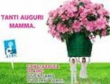 REGALA UNA AZALEA PER LA FESTA DELLA MAMMA