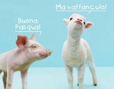 Auguri di BUONA PASQUA