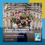 TORNA AZALEA DELLA RICERCA