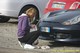 Grazie a Loredana ed alla Gesicar